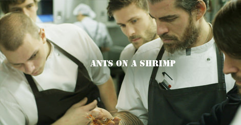 ants-on-a-shrimp2